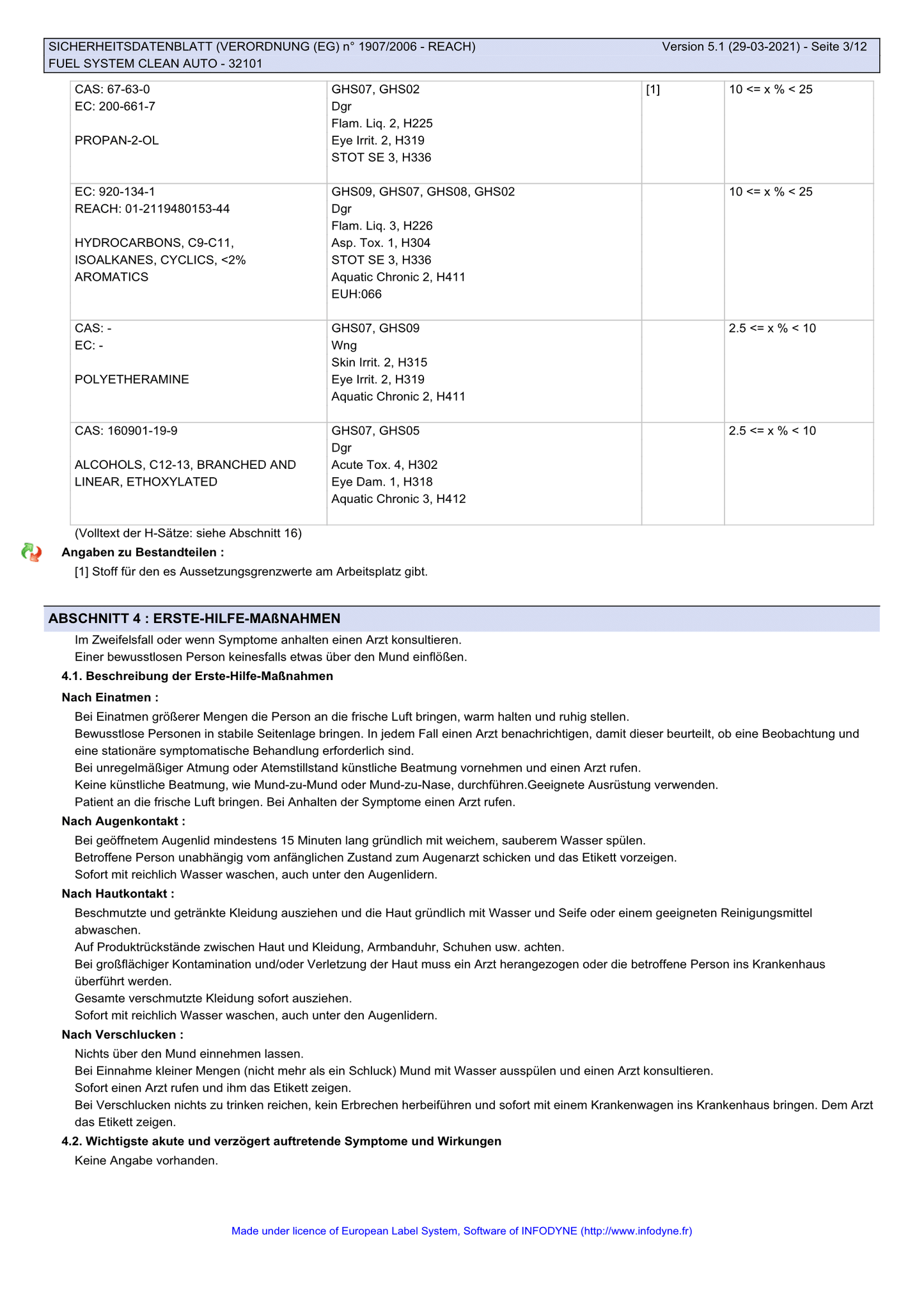 Benzin Systemreiniger